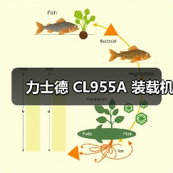 力士德 CL955A 装载机（图3）