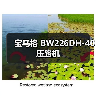 宝马格 BW226DH-40 压路机