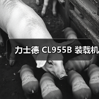 力士德 CL955B 装载机（图2）