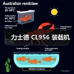 力士德 CL956 装载机（图4）