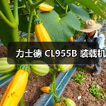 力士德 CL955B 装载机（图4）