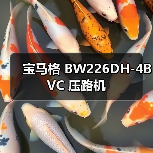 宝马格 BW226DH-4BVC 压路机