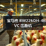 宝马格 BW226DH-4BVC 压路机（图4）