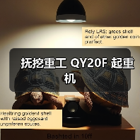 抚挖重工 QY20F 起重机（图2）