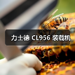 力士德 CL956 装载机