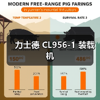 力士德 CL956-1 装载机（图3）
