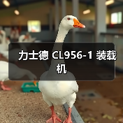 力士德 CL956-1 装载机（图4）