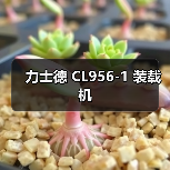 力士德 CL956-1 装载机