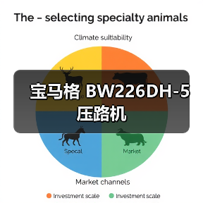 宝马格 BW226DH-5 压路机(图4) 宝马格 BW226DH-5 压路机(图4)