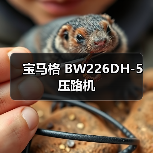 宝马格 BW226DH-5 压路机
