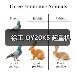 徐工 QY20K5 起重机