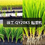 徐工 QY20K5 起重机（图2）