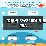 宝马格 BW226DI-5 压路机（图3）