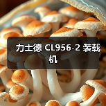 力士德 CL956-2 装载机(图2) 力士德 CL956-2 装载机(图2)