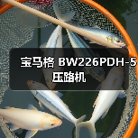 宝马格 BW226PDH-5 压路机（图4）