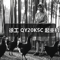 徐工 QY20K5C 起重机（图2）