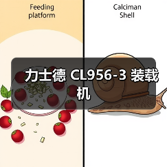 力士德 CL956-3 装载机（图2）