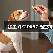徐工 QY20K5C 起重机（图3）