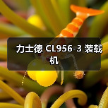 力士德 CL956-3 装载机（图3）