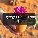 力士德 CL956-3 装载机（图4）