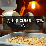 力士德 CL956-4 装载机（图2）