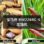 宝马格 BW226RC-5 压路机（图3）