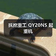 抚挖重工 QY20NS 起重机（图3）