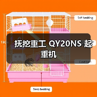 抚挖重工 QY20NS 起重机