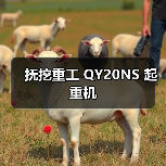 抚挖重工 QY20NS 起重机（图4）