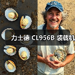 力士德 CL956B 装载机（图2）
