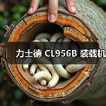 力士德 CL956B 装载机（图4）