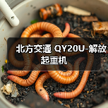 北方交通 QY20U-解放 起重机(图2) 北方交通 QY20U-解放 起重机(图2)