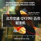北方交通 QY20U-五岳 起重机