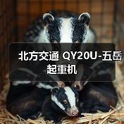北方交通 QY20U-五岳 起重机（图4）