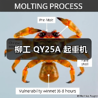 柳工 QY25A 起重机