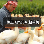 柳工 QY25A 起重机（图3）