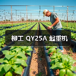 柳工 QY25A 起重机（图4）