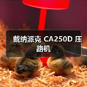 戴纳派克 CA250D 压路机（图3）
