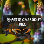 戴纳派克 CA250D 压路机（图2）