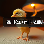 四川长江 QY25 起重机（图4）