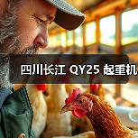 四川长江 QY25 起重机
