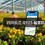 四川长江 QY25 起重机（图2）