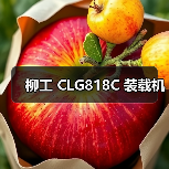 柳工 CLG818C 装载机（图2）