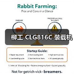 柳工 CLG816C 装载机（图4）