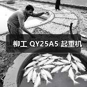 柳工 QY25A5 起重机（图3）