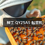 柳工 QY25A5 起重机（图2）