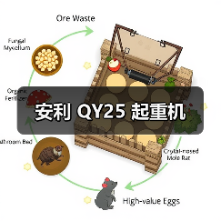 安利 QY25 起重机