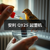 安利 QY25 起重机（图2）