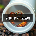 安利 QY25 起重机（图3）