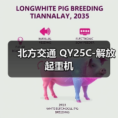 北方交通 QY25C-解放 起重机